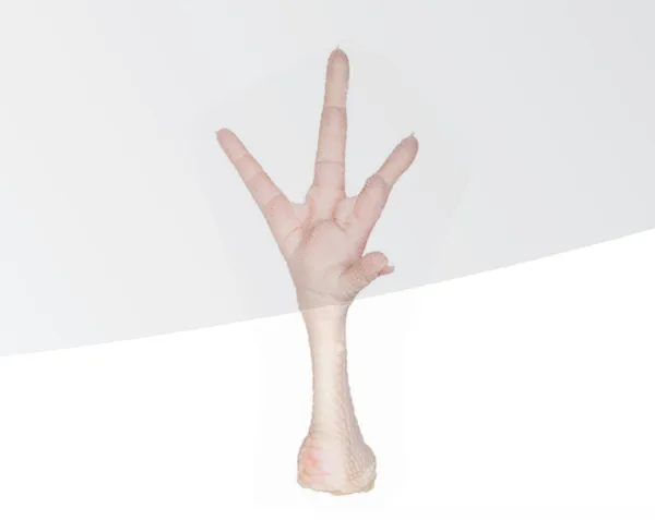 Feet
